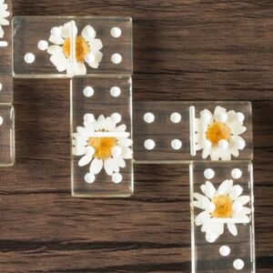 Acrylic 28 pcs Domino Set NEW!